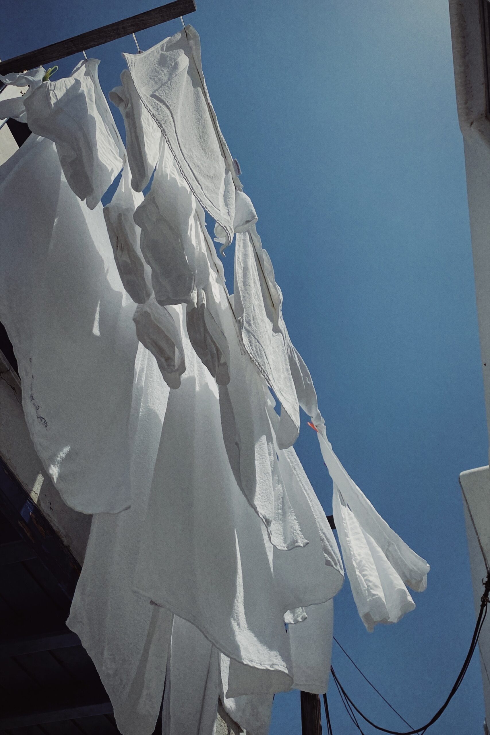 Shot with NOMO Minilux.