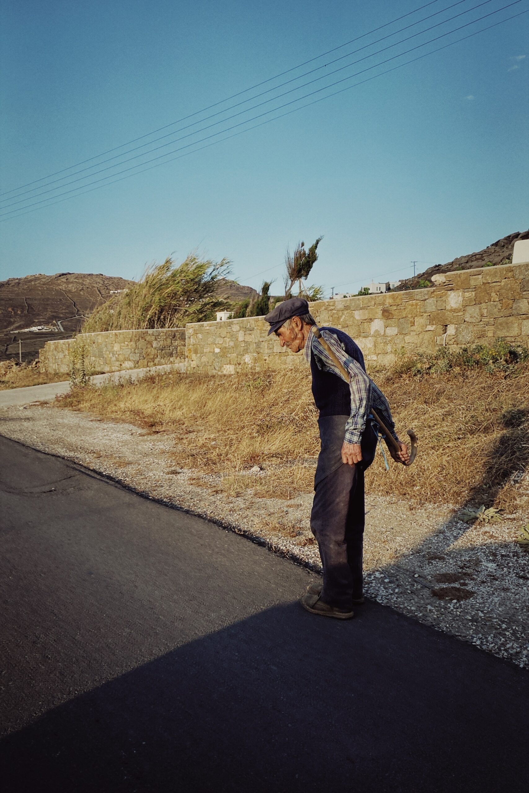 Shot with NOMO Minilux.