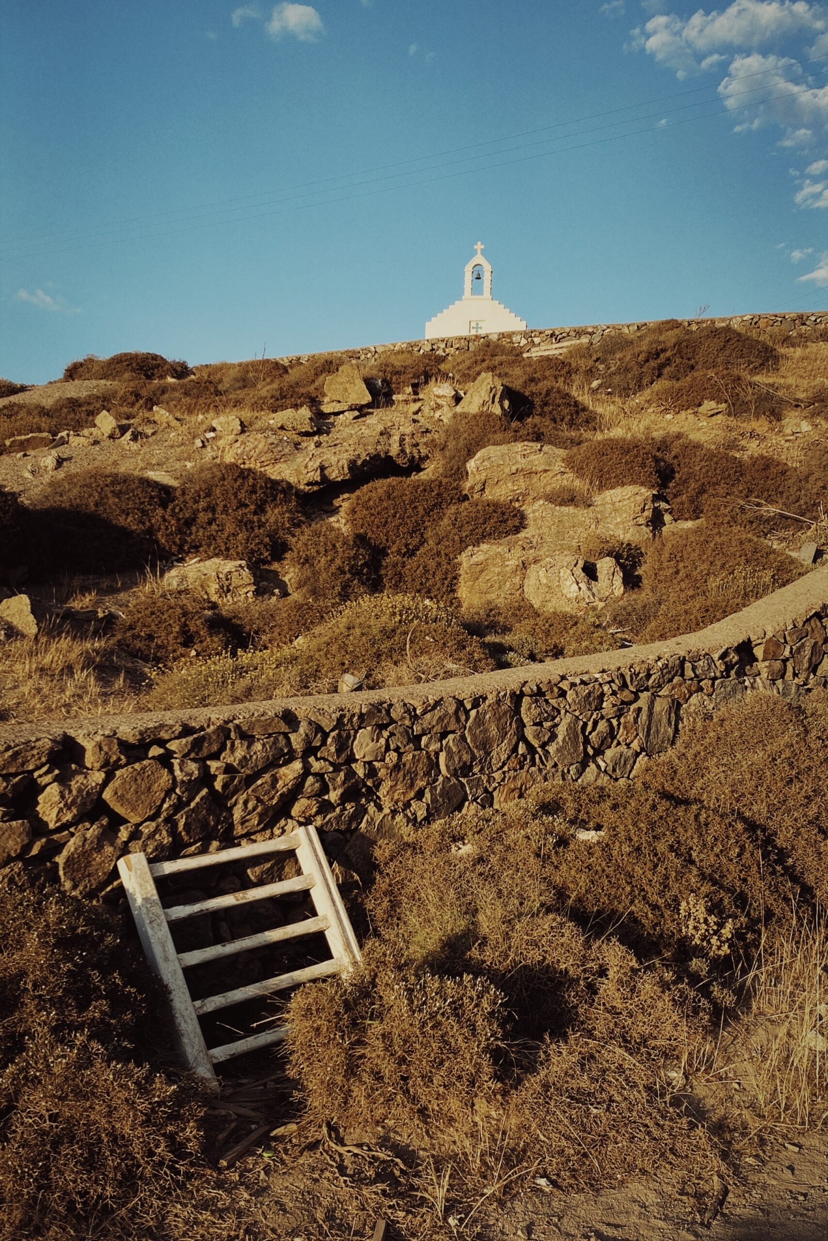 Shot with NOMO Minilux.